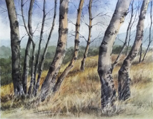 Birch Grove - Watercolor Painting by Owie Delfter | Owie's ART