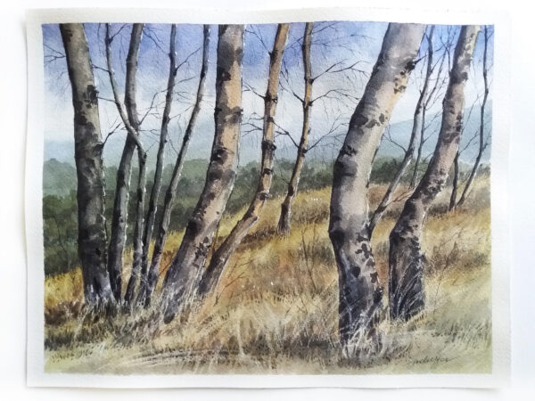 Birch Grove - Watercolor Painting by Owie Delfter | Owie's ART