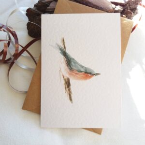 Nuthatch - Bird card by Owie's ART