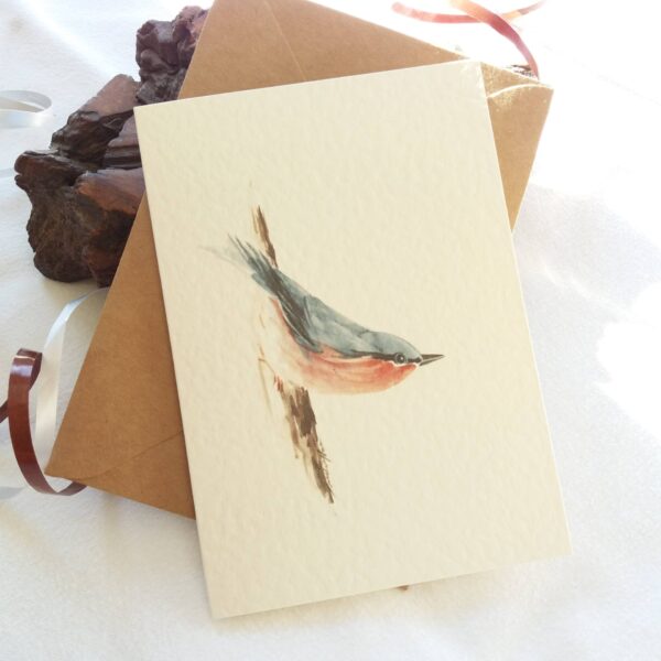 Nuthatch - Bird card by Owie's ART
