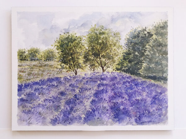 Lavender Field, Summer Landscape - Watercolor Painting by Owie Delfter | Owie's ART
