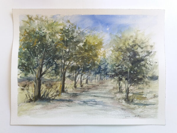 Tree Grove - Watercolor Painting by Owie Delfter | Owie's ART