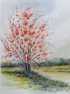 Flowering Bush - Spring Landscape by Owie's ART