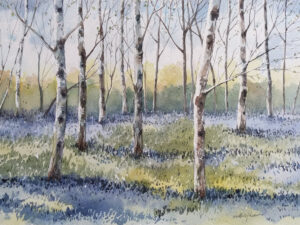 Birch Trees and Bluebells - Watercolor Landscape by Owie's ART